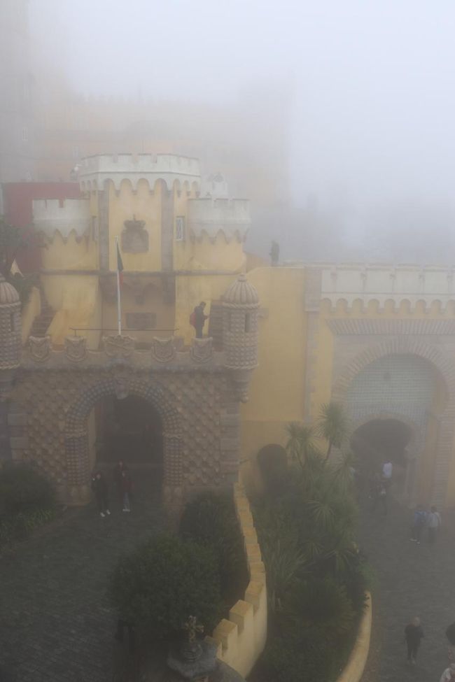 外に出ました。<br />やっぱり霧ですよ。<br />本当に残念。