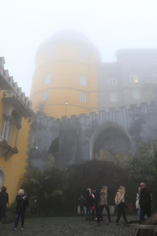 ここまで霧が出んでもいいじゃろうに・・・。<br />あまりの残念さに、つい広島弁が出てしまいました。