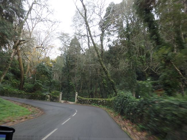 ペーナ宮殿は山の上にあるので、山道を進みます。