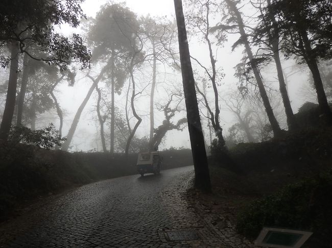 途中からは一方通行です。<br /><br />標高が上がるにつれて霧が・・・。<br />この霧のせいで、この後とっても残念な事態になったのです。