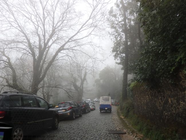 そろそろ宮殿の近くらしい。<br />路上駐車がいっぱい。<br />駐車場がある事は、ストリートビューで確認済み。<br /><br />それにしても道が狭い。