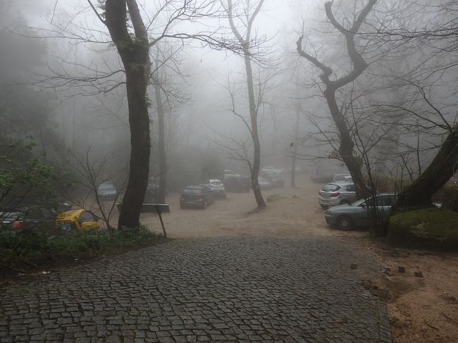 ペーナ宮殿・チケット売り場近くで交通整理をしていたお兄さんから、ここに停めるよう言われました。<br />デコボコ、ガタガタの駐車場です。<br />停めるスペースはあるんかい？？？<br /><br />今回小さい車を借りていて本当に良かったと、この旅行中で一番思いました。<br />ちょっとだけ空いていた隙間に停める事が出来たのです。<br />私達が停めた後に来た車は、もう満車で停められなくなっていました。<br />ギリギリセーフだった(^_^)v<br />