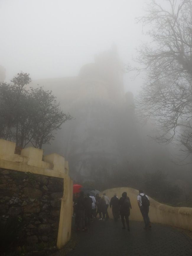 バスを降りるとペーナ宮殿はすぐそばのはずなのです。<br />しかし霧で全然見えない！<br /><br />何年か前山梨へ行った時、雲にすっぽり覆われて富士山が見えなかった事があります。<br />レストランの人に「富士山はどこにあるんですか？」と聞いたほど。<br />今回「ペーナ宮殿はどこにあるんですか？」状態です（笑）