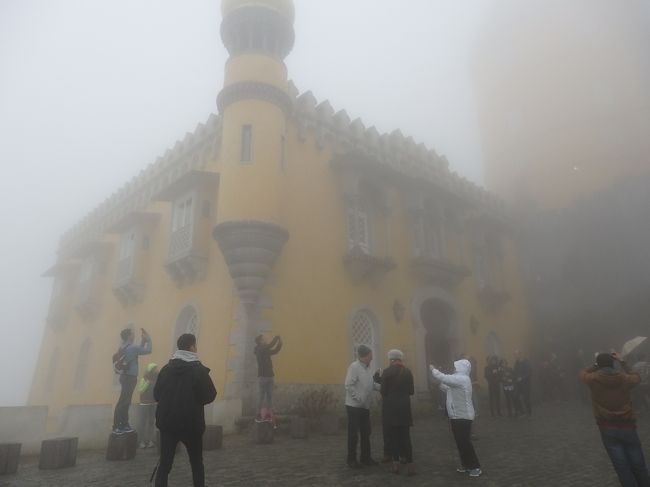 みんな一生懸命写真を撮っているけれど・・・。