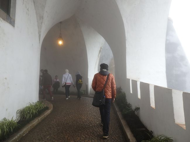 こんなスロープを上がります。