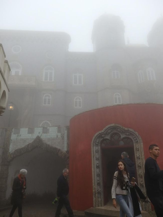 シルエットしか見えないなんて、悲しすぎる。