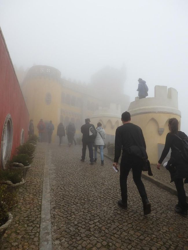 上に行けば行くほど、霧が濃くなる。