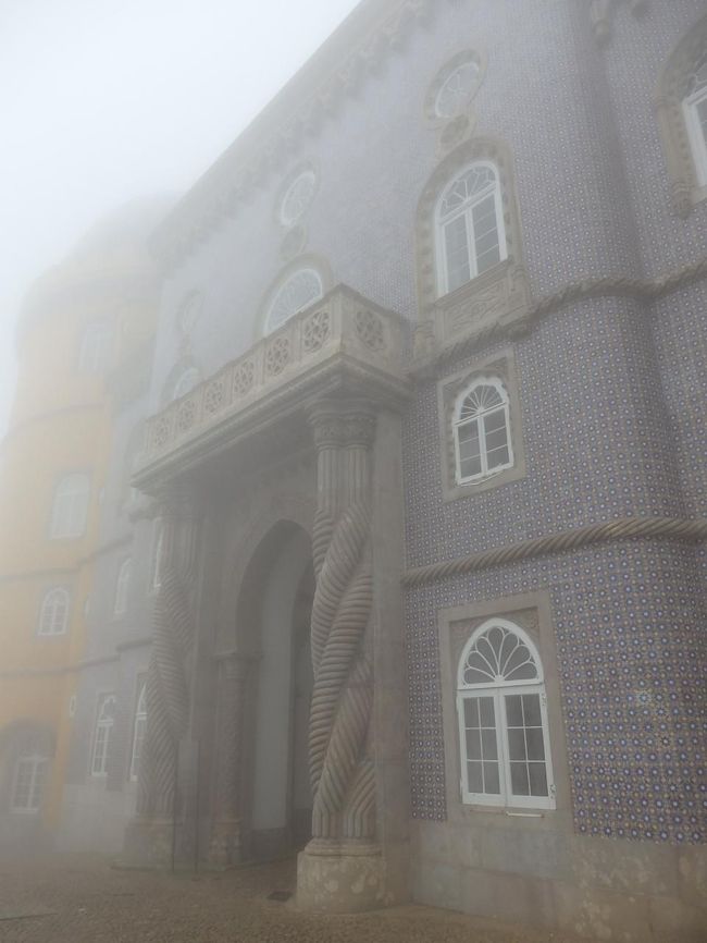 こちらも一面アズレージョ。ぱっと見紫に見えますが・・・。