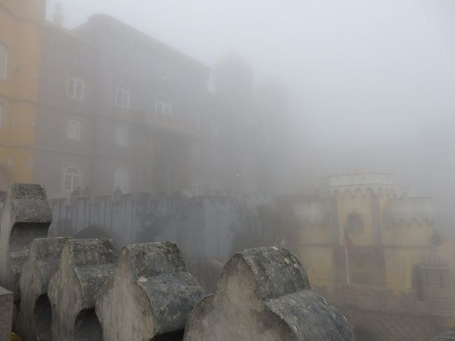 どこを撮ってもシルエットしか写りません(T_T)