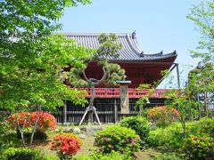 今回、BABELの特別展が開催されたのは東京都美術館。
最寄り駅は上野駅なので、上野駅からは新緑の上野公園の中を通り抜け、美術館へと向かう。

もともと私が【バベルの塔】という題材に興味を持ち始めたのは、いまからもう30年以上も前。
小学生の頃に読んだマザーグースの唄と呼ばれる英国の詞で、バビロンという地名を知ったのが最初だった。

（写真：上野公園。ツツジが色づいていた）
