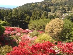 上から見下ろすのも綺麗