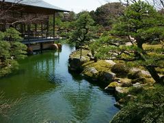 大根島という名前から大根の生産で有名なのかと思っていましたが、名前の由来は大根とは直結していないらしく（諸説あるらしい）、牡丹が有名だそう。

せっかくなので、通りがかりの牡丹園へ行くことに（島内には3箇所ほど牡丹園があります）。

