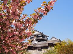 松山城

八重桜がきれいでした