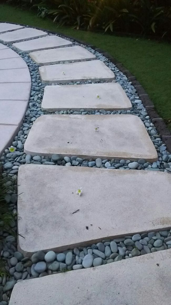 庭をゆっくり一周してみましょう。<br /><br />今日もプランジパニが点々と綺麗。