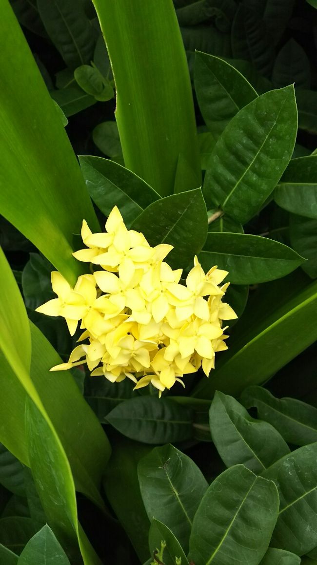 おはよう。今日も綺麗ですね。