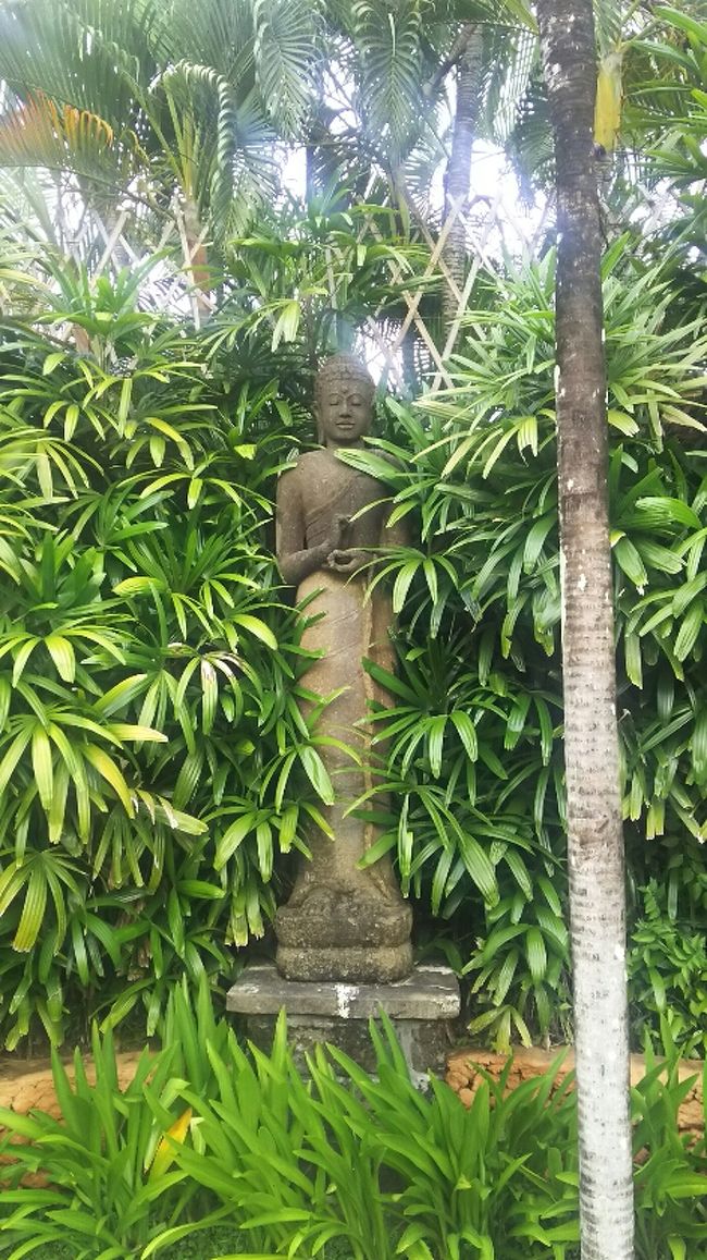 おはようございます。