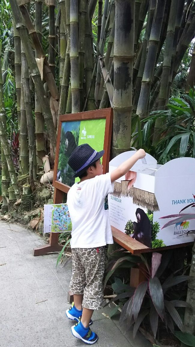 ちょっぴり募金もして