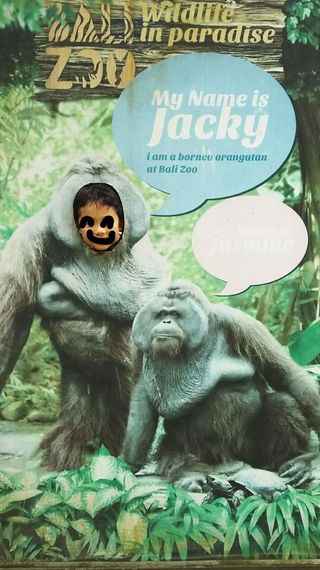 世界共通のお約束