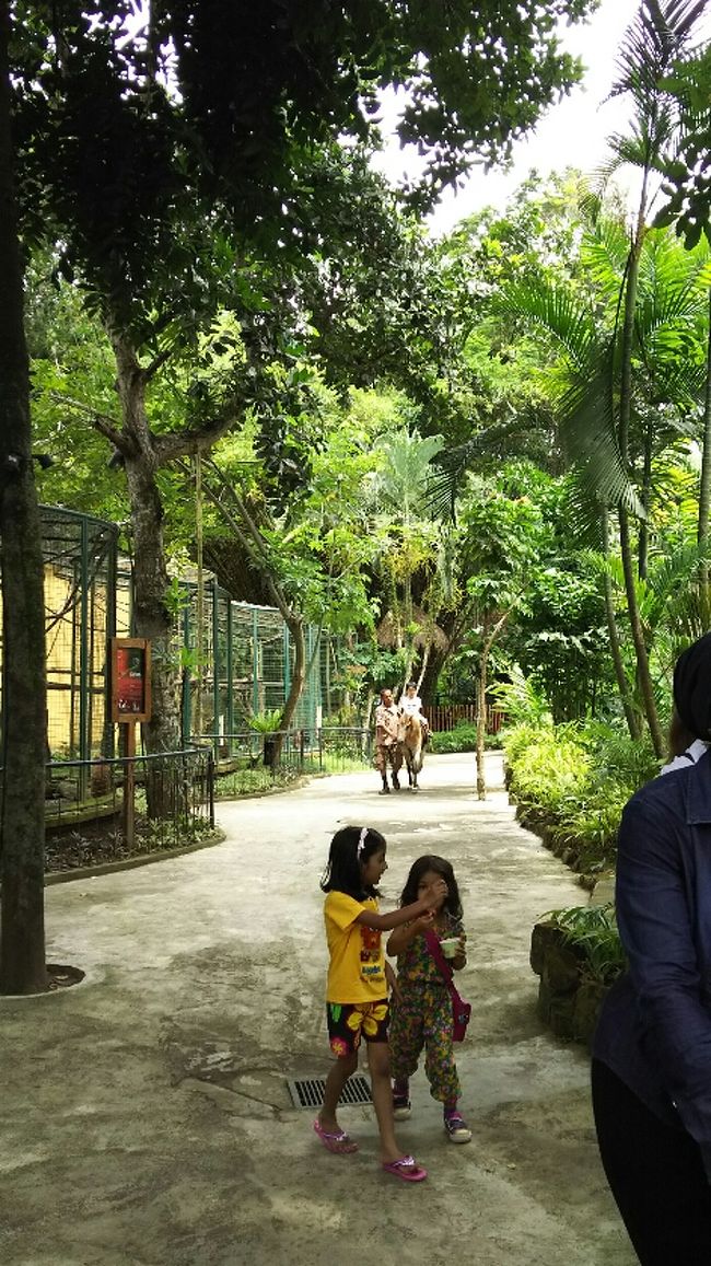 近くを１周。パカパカ。のんびりしてていい感じ。<br /><br />象のコーナーには行かず、<br />通常コーナーの動物を見ながらゆっくり歩いて小一時間。<br /><br />バアバにも無理ない広さで良かったです。