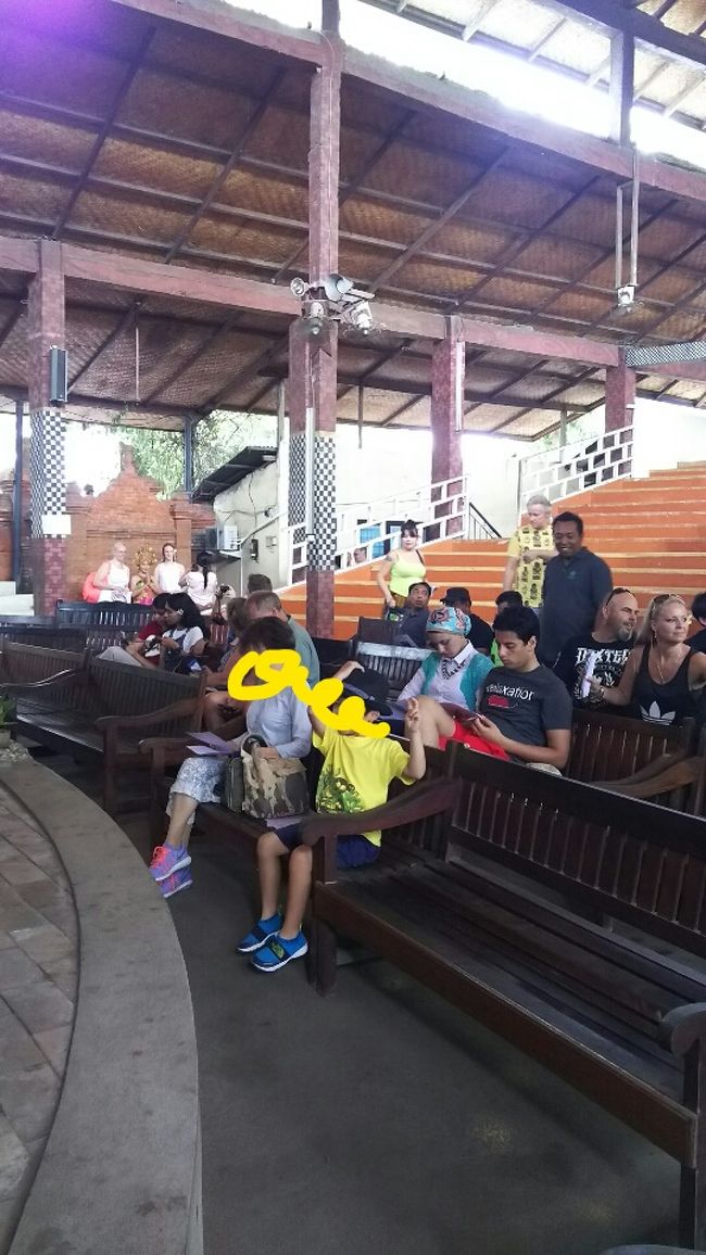 最前列に座ります。<br /><br />そして、この最前列という選択が大当たり。<br /><br />後に始まったバロンとお猿の喜劇の場面で<br />お猿さんが客席の息子に目をつけてからんできてくれました。<br /><br />舞台上でそれまで死守していたバナナ。<br />それを息子が気に入って差し出すという即興をしてくれました。<br /><br />バナナを受け取った息子に周りから拍手。<br />楽しい思い出になりました。