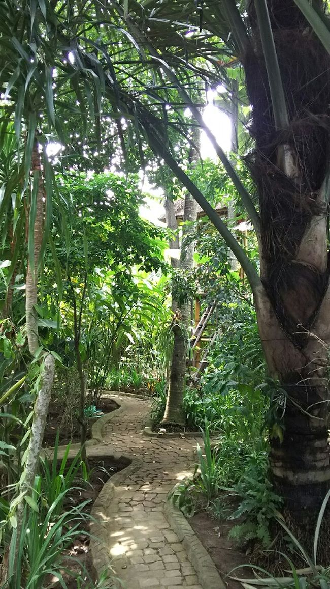 なんというか、ここ気持ち良かったな。<br />散歩してるだけで深呼吸が出来るような素敵な場所でした。