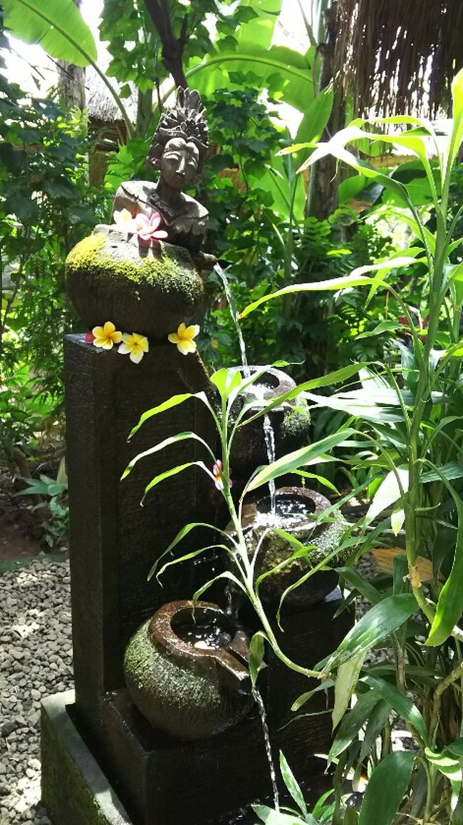 静かな場所で緑に囲まれて、もう満足。<br />コーヒー美味しいし、幸せ。<br /><br />バアバはアセロラティーが気に入った様子。<br />息子はココアが美味しかったらしく、内緒でお姉さんが<br />お代わりを持ってきてくれました。<br /><br />子供っていいなあ...