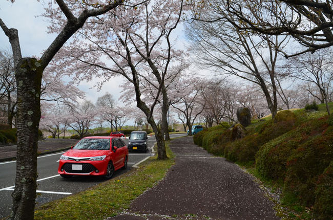 富士桜自然墓地公園 17 04 22 富士宮 静岡県 の旅行記 ブログ By てんとう虫さん フォートラベル