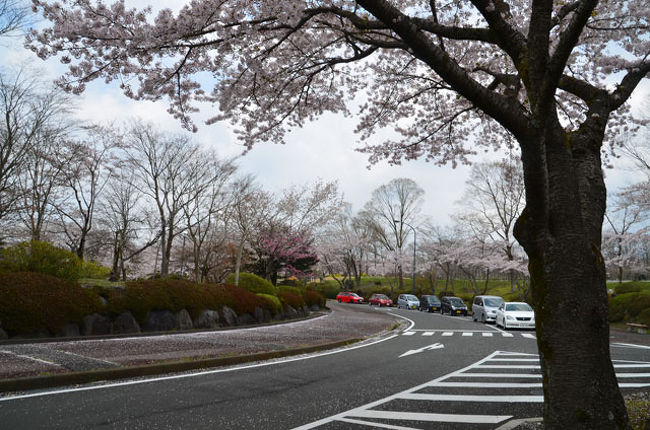 富士桜自然墓地公園 17 04 22 富士宮 静岡県 の旅行記 ブログ By てんとう虫さん フォートラベル