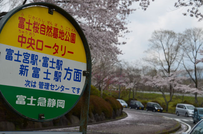 富士桜自然墓地公園 17 04 22 富士宮 静岡県 の旅行記 ブログ By てんとう虫さん フォートラベル