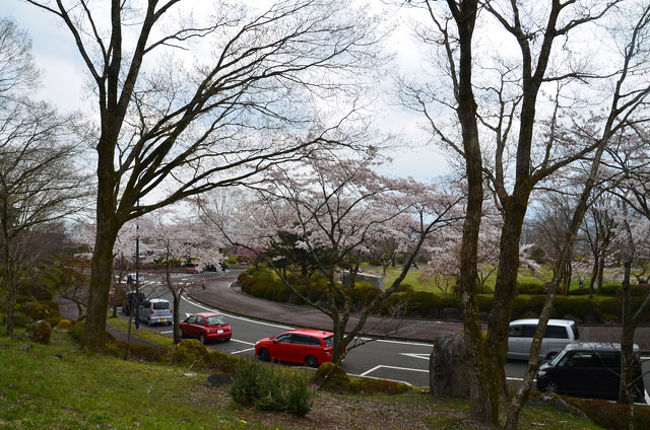 富士桜自然墓地公園 17 04 22 富士宮 静岡県 の旅行記 ブログ By てんとう虫さん フォートラベル