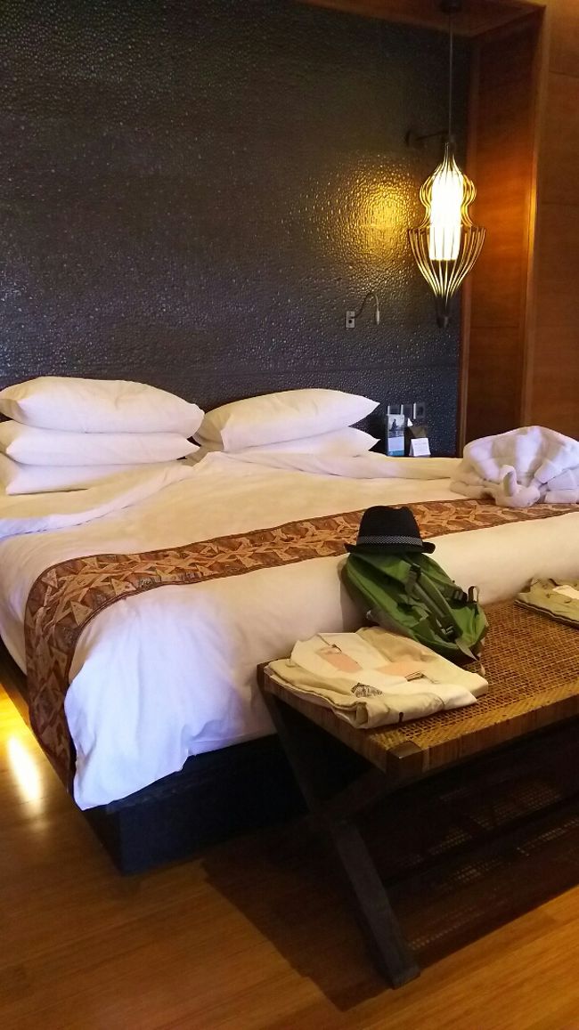 ウブド観光を終え、この日チェックインしたのはパドマウブド。<br />オープンして間もなく１年です。<br /><br />このホテルにした理由は、賑やかな繁華街よりも<br />静かな場所でゆっくりしたかったから。<br />そしてキッズクラブと広いプールがあるので<br />子供も楽しめそうだと思ったからです。<br /><br />更にオープン記念宿泊費40％オフや、３連泊特典など<br />嬉しいキャンペーンを展開していたので、<br />無謀にもHPからクラブルームを予約してしまいました。<br /><br />実はわたくし、クラブルームという存在を<br />皆さんの旅行記を読むまで知りませんでした。<br /><br />こんな贅沢は今後ないでしょう。<br />舞い上がっているので写真が多いです。<br /><br />さて、話は戻り、ホテル到着時、ジャスミンのレイをかけてもらい、<br />バトラーさんが名刺と共にご挨拶。<br />スマートに案内され、綺麗なロビーを素通りしてお部屋に<br />案内してもらいました。<br />後ろにはウエルカムドリンクを持ったボーイさん。<br /><br />ひえ～。<br /><br />ほどなくお部屋に到着。<br />１ベッドルームクラブルーム。<br />こちら、HPでの印象より重厚な造りでした。<br /><br />枕が５つもある！<br /><br />