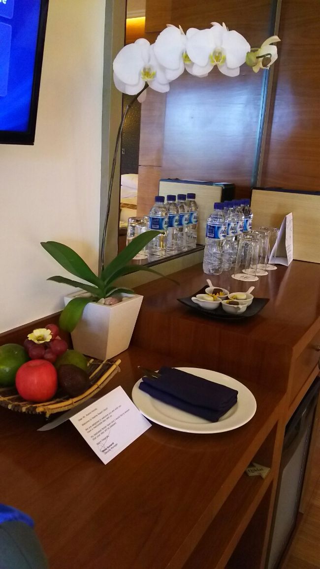 かしずかれる雰囲気にあっぷあっぷの私と比べ<br />バアバは「綺麗で良かったわ♪」とご満悦。<br /><br />くう～贅沢者。<br /><br />でも喜んでもらえて良かったです。<br />だって息子と私だけだったら、<br />水シャワーしか出ないようなお宿で十分。<br /><br />今回の宿泊先はバアバのために選んだようなものでしたから。<br />喜んでもらえたら私も幸せ