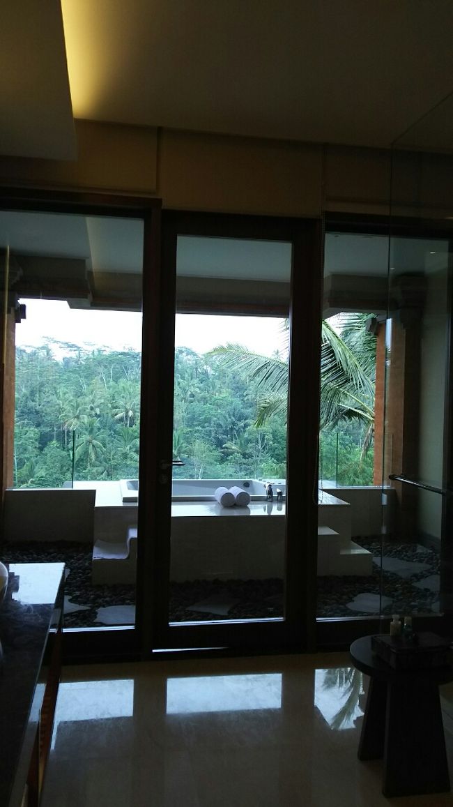 １ベッドルームにはバルコニーにジャグジーがあります。<br /><br />ウブド中心から更に山を登った先にあるパドマウブドは<br />朝晩涼しいので、プールで泳いだ後や夜は<br />このジャグジーで温まりました。