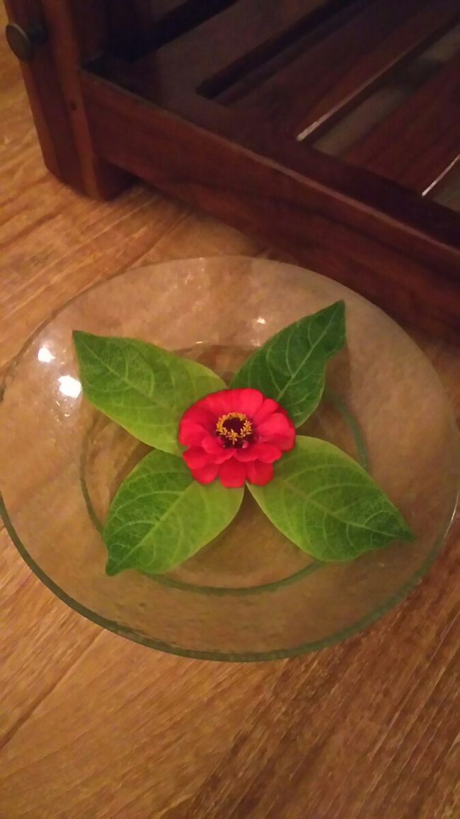 ホテルで少し休んでから訪れたスパ。<br />キッズメニューであっても、レセプションで飲み物を出してくれました。<br /><br />使用するオイルは、ベビーマッサージで使われる１番優しいオイル<br />だそうです。<br /><br />初めてのスパ、どうなる事かと心配しましたが、<br />優しい女性スタッフの方が子供に合わせて説明したり、<br />一つ一つ確認してくれながら進んだので、<br />終わる頃にはすっかりスパのとりこ。<br /><br />お花の洗面器で足も洗いたい！という息子と<br />スタッフさんの笑顔に流されて翌日の予約も<br />入れてしまいました。<br /><br />これぞバケーションマジック。