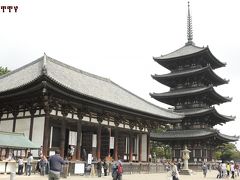 最後に興福寺にやって来ました。
お目当ては阿修羅の展示！
五重塔のしだれ桜はもう終わってしまっていて残念。