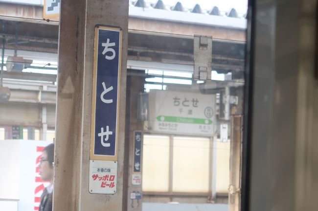 愛称板 駅名板 ちとせ （当時物 国鉄 準急行 SEMI-EXPRESS 鉄道