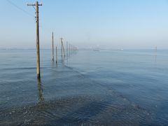 朝6時。
有名な江川海岸の海中電柱を見に来ました。