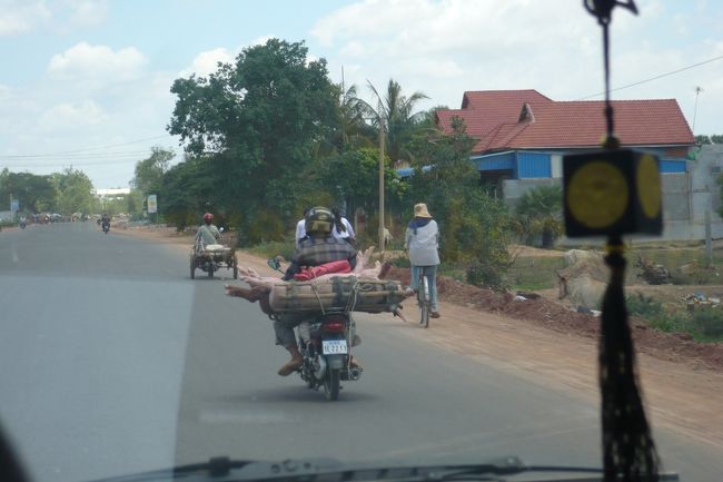 豚を積んでました。
