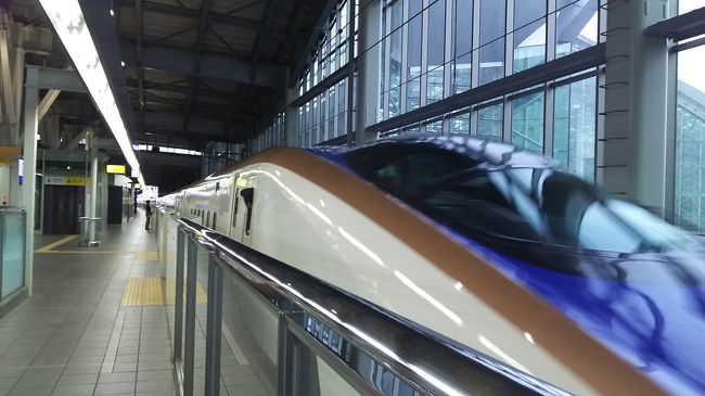 両親と叔母は、３時台のかがやきを予約してましたが、歩き疲れ、新幹線を急遽早め２時の新幹線で帰りました。<br /><br />金沢百番街やコンコースのイスは、木でできていることが多く、高齢の父は座っているのが辛かったようです。<br /><br />また百番街には宅急便カウンターもあり、お土産を送ることも出来ます。<br /><br />前日買ったものは送ったのですが、２日目は新幹線を早めてバタバタで乗ったので、送る時間がなく持ち帰ってました。<br /><br />このあと、私は特急しらさぎで自宅に帰りました。