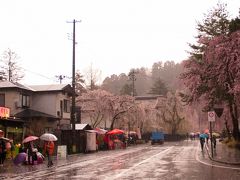 角館

表町下丁の交差点。
左側は桧木内川沿いの桜のトンネルがあり、右側は角館武家屋敷。

雨足が強く、桜のトンネルの散策は中止。