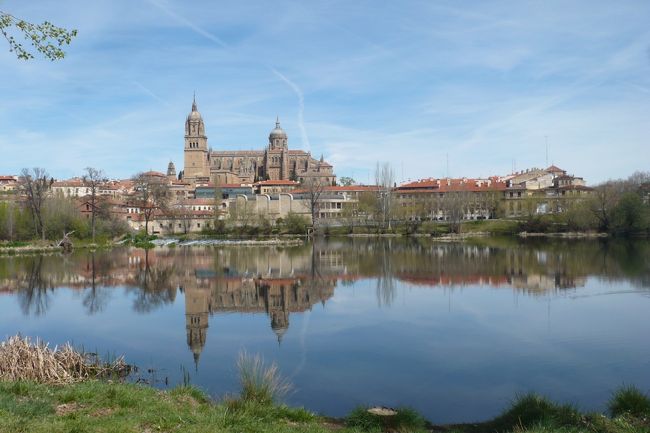 サラマンカ、自由時間に散策で、<br />ローマ橋の方へ歩き、<br />いいショットが撮れました！