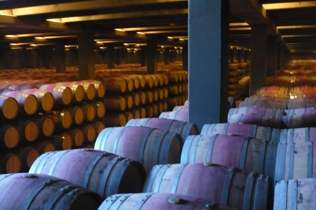 勉強になりました。<br />が、しかし、<br />あと二泊で帰国の途。<br />この頃になると、連日ランチとディナーに<br />サービスの赤ワインの飲み過ぎで、<br />連日連夜、水分不足なのか、<br />こむら返しにあい；；<br />冷えた白ワインが恋しく、<br />いや、コーラが美味しく感じていたのでした。<br />