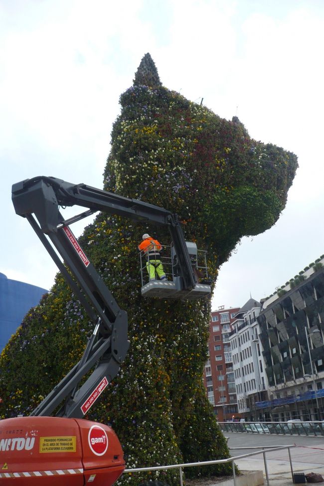 ビルバオにて。<br />クマかと思ったら、ワンコだって。<br />