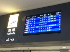 那覇にはほぼ定刻に到着。

那覇マラソンに出た友人と空港で待ち合わせをしたので、一度出てみました。

