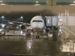 定刻で羽田に到着。

やっぱ寒いですね。
