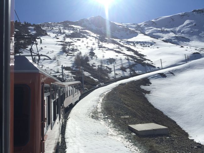 登山列車はこんな急坂を上っていきます。
