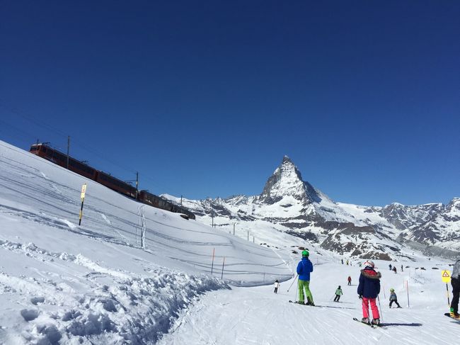 夏になれば高山植物で溢れる一帯ですが、この時期はスキーコースです。<br />ちょうどコース脇をゴルナーグラート鉄道が走っていきます。