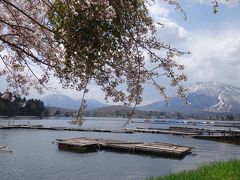 野尻湖で桜を見つけてまたストップ。

これから海へ行くってのに、水辺があるとつい寄っちゃう。