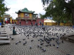 ガンダン寺
大量の鳩がいます