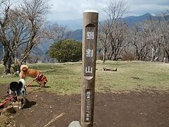 心折れそうになる頃、ようやく山頂到着。11:48

とてつもなく可愛い柴、2匹と遊ぶ。
癒されるなぁ～

茶色が「岳(ガク)」、黒が「駒(コマ)」だそうだ。